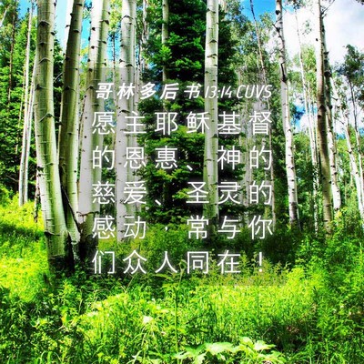 Picture 04 - 哥 林 多 后 书 13:14 CUVS - 愿 主 耶 稣 基 督 的 恩 惠 、 神 的 - Bible Verse Picture