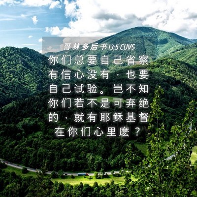 Picture 04 - 哥 林 多 后 书 13:5 CUVS - 你 们 总 要 自 己 省 察 有 信 心 没 - Bible Verse Picture