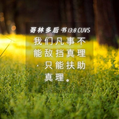 Picture 04 - 哥 林 多 后 书 13:8 CUVS - 我 们 凡 事 不 能 敌 挡 真 理 ， 只 - Bible Verse Picture