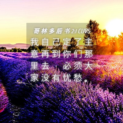 Picture 04 - 哥 林 多 后 书 2:1 CUVS - 我 自 己 定 了 主 意 再 到 你 们 那 - Bible Verse Picture