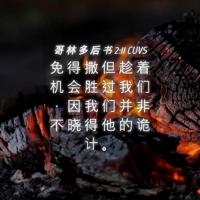 Picture 04 - 哥 林 多 后 书 2:11 CUVS - 免 得 撒 但 趁 着 机 会 胜 过 我 们 - Bible Verse Picture