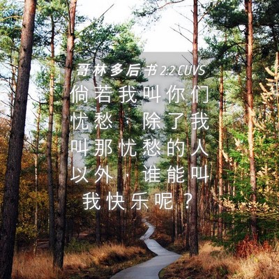 Picture 04 - 哥 林 多 后 书 2:2 CUVS - 倘 若 我 叫 你 们 忧 愁 ， 除 了 我 - Bible Verse Picture