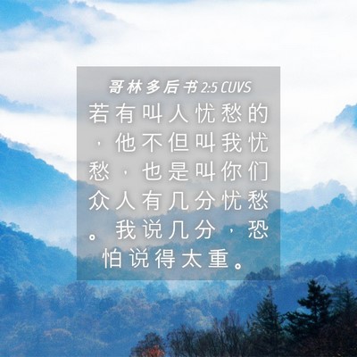 Picture 04 - 哥 林 多 后 书 2:5 CUVS - 若 有 叫 人 忧 愁 的 ， 他 不 但 叫 - Bible Verse Picture