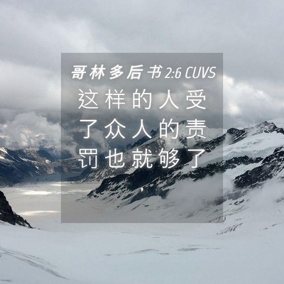 Picture 04 - 哥 林 多 后 书 2:6 CUVS - 这 样 的 人 受 了 众 人 的 责 罚 也 - Bible Verse Picture