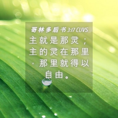 Picture 04 - 哥 林 多 后 书 3:17 CUVS - 主 就 是 那 灵 ； 主 的 灵 在 那 里 - Bible Verse Picture