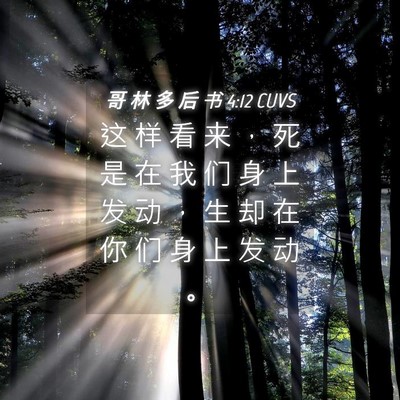 Picture 04 - 哥 林 多 后 书 4:12 CUVS - 这 样 看 来 ， 死 是 在 我 们 身 上 - Bible Verse Picture