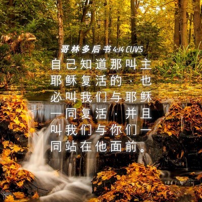 Picture 04 - 哥 林 多 后 书 4:14 CUVS - 自 己 知 道 那 叫 主 耶 稣 复 活 的 - Bible Verse Picture