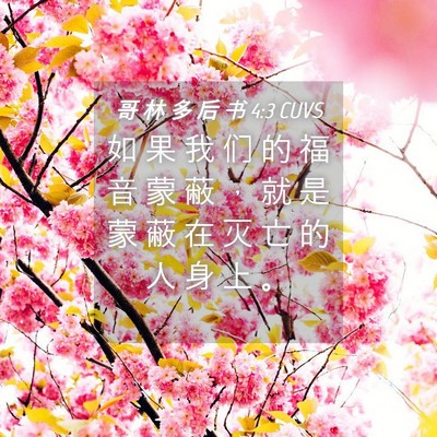 Picture 04 - 哥 林 多 后 书 4:3 CUVS - 如 果 我 们 的 福 音 蒙 蔽 ， 就 是 - Bible Verse Picture