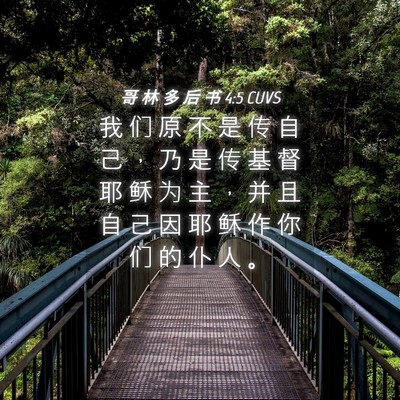 Picture 04 - 哥 林 多 后 书 4:5 CUVS - 我 们 原 不 是 传 自 己 ， 乃 是 传 - Bible Verse Picture