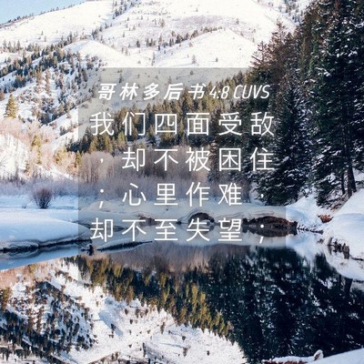 Picture 04 - 哥 林 多 后 书 4:8 CUVS - 我 们 四 面 受 敌 ， 却 不 被 困 住 - Bible Verse Picture