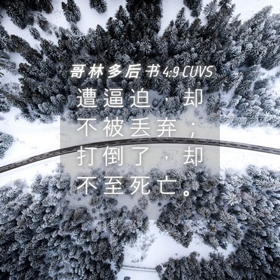 Picture 04 - 哥 林 多 后 书 4:9 CUVS - 遭 逼 迫 ， 却 不 被 丢 弃 ； 打 倒 - Bible Verse Picture