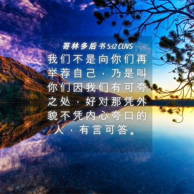 Picture 04 - 哥 林 多 后 书 5:12 CUVS - 我 们 不 是 向 你 们 再 举 荐 自 己 - Bible Verse Picture