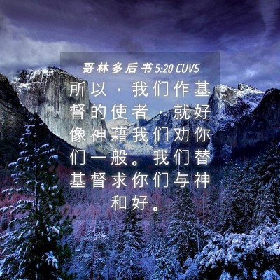 Picture 04 - 哥 林 多 后 书 5:20 CUVS - 所 以 ， 我 们 作 基 督 的 使 者 ， - Bible Verse Picture