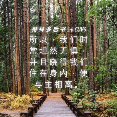 Picture 04 - 哥 林 多 后 书 5:6 CUVS - 所 以 ， 我 们 时 常 坦 然 无 惧 ， - Bible Verse Picture