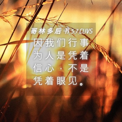 Picture 04 - 哥 林 多 后 书 5:7 CUVS - 因 我 们 行 事 为 人 是 凭 着 信 心 - Bible Verse Picture
