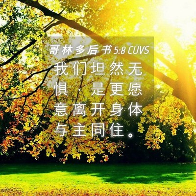 Picture 04 - 哥 林 多 后 书 5:8 CUVS - 我 们 坦 然 无 惧 ， 是 更 愿 意 离 - Bible Verse Picture