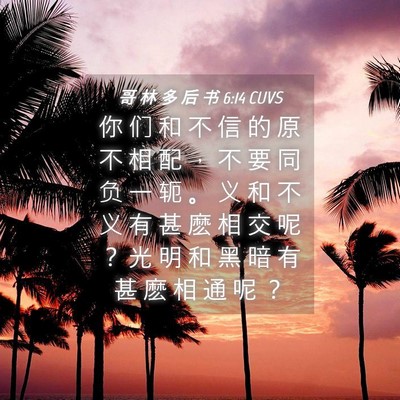 Picture 04 - 哥 林 多 后 书 6:14 CUVS - 你 们 和 不 信 的 原 不 相 配 ， 不 - Bible Verse Picture