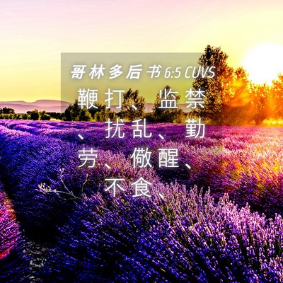 Picture 04 - 哥 林 多 后 书 6:5 CUVS - 鞭 打 、 监 禁 、 扰 乱 、 勤 劳 、 - Bible Verse Picture