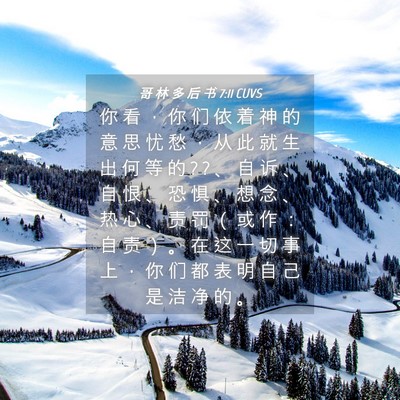 Picture 04 - 哥 林 多 后 书 7:11 CUVS - 你 看 ， 你 们 依 着 神 的 意 思 忧 - Bible Verse Picture