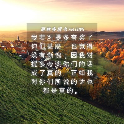 Picture 04 - 哥 林 多 后 书 7:14 CUVS - 我 若 对 提 多 夸 奖 了 你 们 甚 麽 - Bible Verse Picture