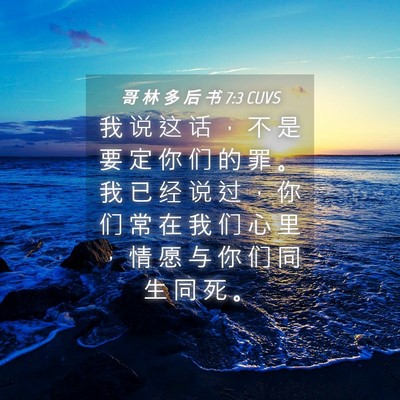 Picture 04 - 哥 林 多 后 书 7:3 CUVS - 我 说 这 话 ， 不 是 要 定 你 们 的 - Bible Verse Picture