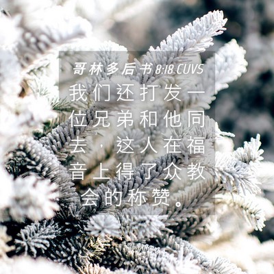 Picture 04 - 哥 林 多 后 书 8:18 CUVS - 我 们 还 打 发 一 位 兄 弟 和 他 同 - Bible Verse Picture