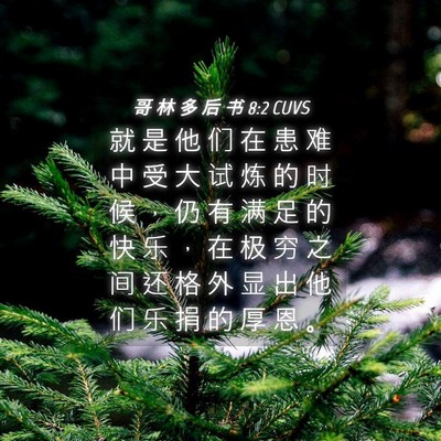 Picture 04 - 哥 林 多 后 书 8:2 CUVS - 就 是 他 们 在 患 难 中 受 大 试 炼 - Bible Verse Picture