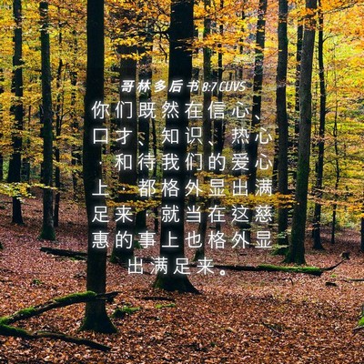Picture 04 - 哥 林 多 后 书 8:7 CUVS - 你 们 既 然 在 信 心 、 口 才 、 知 - Bible Verse Picture