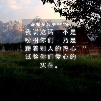Picture 04 - 哥 林 多 后 书 8:8 CUVS - 我 说 这 话 ， 不 是 吩 咐 你 们 ， - Bible Verse Picture