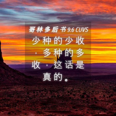 Picture 04 - 哥 林 多 后 书 9:6 CUVS - 少 种 的 少 收 ， 多 种 的 多 收 ， - Bible Verse Picture