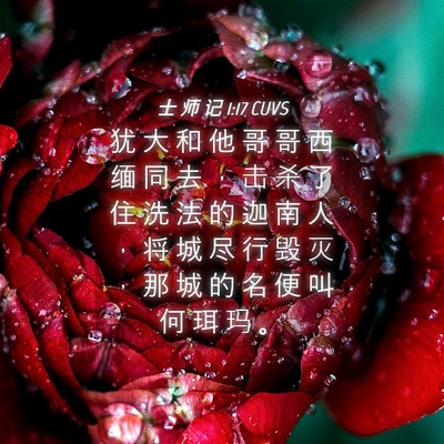 Picture 04 - 士 师 记 1:17 CUVS - 犹 大 和 他 哥 哥 西 缅 同 去 ， 击 - Bible Verse Picture