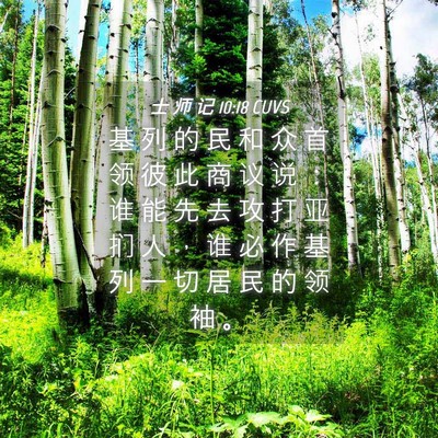 Picture 04 - 士 师 记 10:18 CUVS - 基 列 的 民 和 众 首 领 彼 此 商 议 - Bible Verse Picture