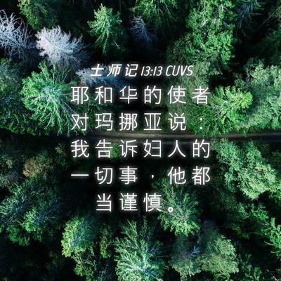 Picture 04 - 士 师 记 13:13 CUVS - 耶 和 华 的 使 者 对 玛 挪 亚 说 ： - Bible Verse Picture