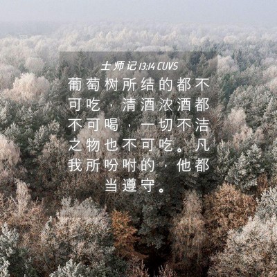 Picture 04 - 士 师 记 13:14 CUVS - 葡 萄 树 所 结 的 都 不 可 吃 ， 清 - Bible Verse Picture