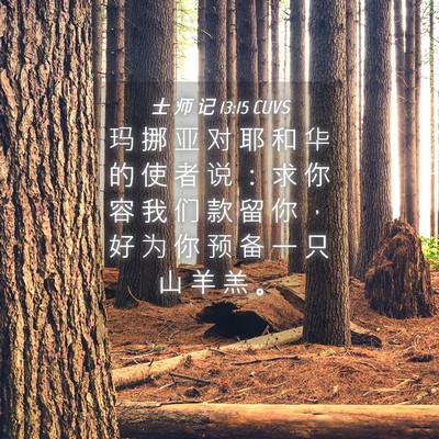 Picture 04 - 士 师 记 13:15 CUVS - 玛 挪 亚 对 耶 和 华 的 使 者 说 ： - Bible Verse Picture