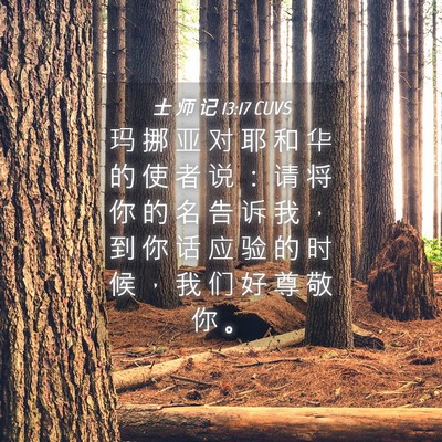 Picture 04 - 士 师 记 13:17 CUVS - 玛 挪 亚 对 耶 和 华 的 使 者 说 ： - Bible Verse Picture