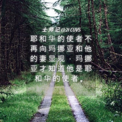 Picture 04 - 士 师 记 13:21 CUVS - 耶 和 华 的 使 者 不 再 向 玛 挪 亚 - Bible Verse Picture