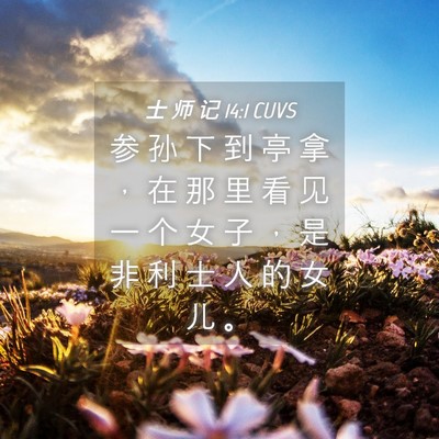 Picture 04 - 士 师 记 14:1 CUVS - 参 孙 下 到 亭 拿 ， 在 那 里 看 见 - Bible Verse Picture
