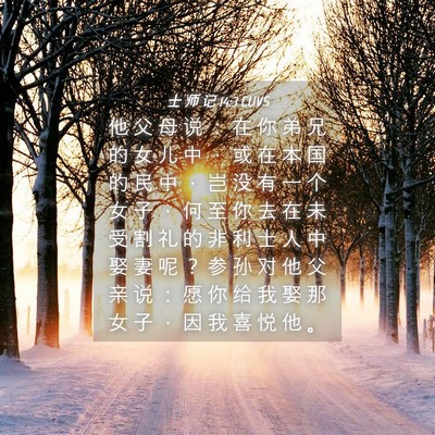 Picture 04 - 士 师 记 14:3 CUVS - 他 父 母 说 ： 在 你 弟 兄 的 女 儿 - Bible Verse Picture
