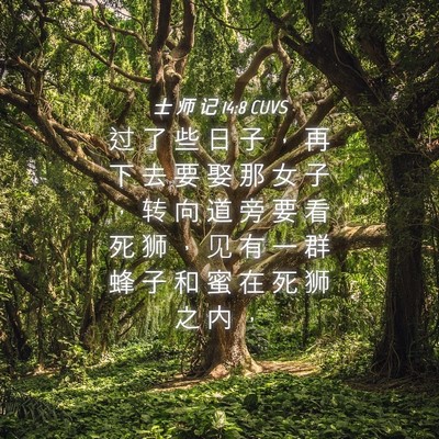 Picture 04 - 士 师 记 14:8 CUVS - 过 了 些 日 子 ， 再 下 去 要 娶 那 - Bible Verse Picture