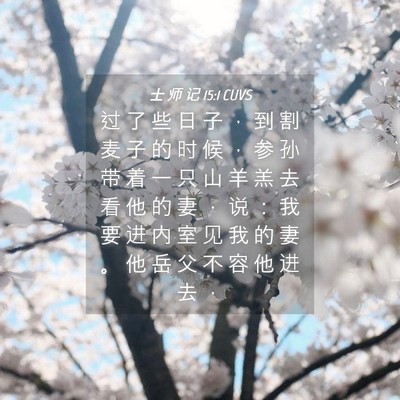 Picture 04 - 士 师 记 15:1 CUVS - 过 了 些 日 子 ， 到 割 麦 子 的 时 - Bible Verse Picture