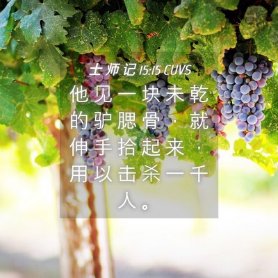 Picture 04 - 士 师 记 15:15 CUVS - 他 见 一 块 未 乾 的 驴 腮 骨 ， 就 - Bible Verse Picture