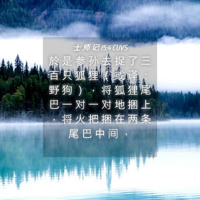 Picture 04 - 士 师 记 15:4 CUVS - 於 是 参 孙 去 捉 了 三 百 只 狐 狸 - Bible Verse Picture