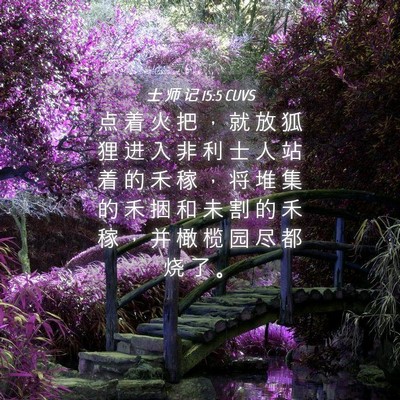 Picture 04 - 士 师 记 15:5 CUVS - 点 着 火 把 ， 就 放 狐 狸 进 入 非 - Bible Verse Picture