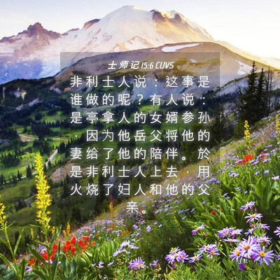 Picture 04 - 士 师 记 15:6 CUVS - 非 利 士 人 说 ： 这 事 是 谁 做 的 - Bible Verse Picture