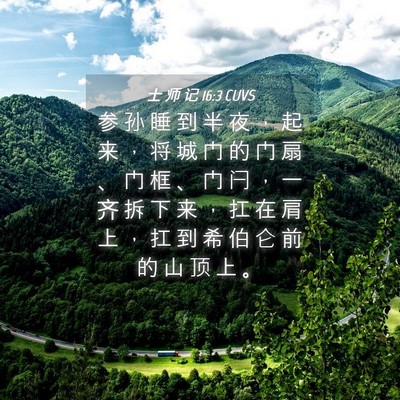 Picture 04 - 士 师 记 16:3 CUVS - 参 孙 睡 到 半 夜 ， 起 来 ， 将 城 - Bible Verse Picture