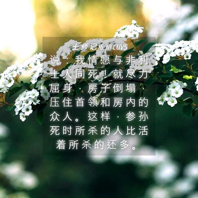 Picture 04 - 士 师 记 16:30 CUVS - 说 ： 我 情 愿 与 非 利 士 人 同 死 - Bible Verse Picture