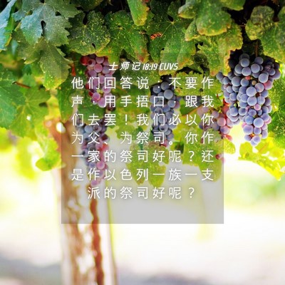 Picture 04 - 士 师 记 18:19 CUVS - 他 们 回 答 说 ： 不 要 作 声 ， 用 - Bible Verse Picture