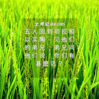 Picture 04 - 士 师 记 18:8 CUVS - 五 人 回 到 琐 拉 和 以 实 陶 ， 见 - Bible Verse Picture