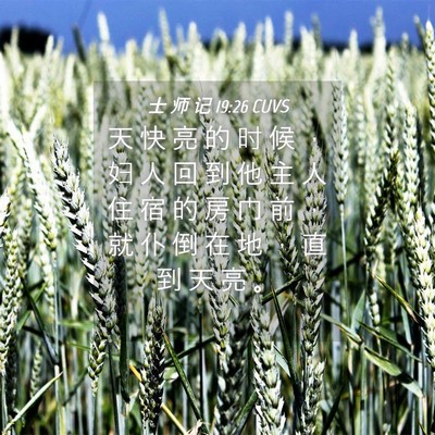 Picture 04 - 士 师 记 19:26 CUVS - 天 快 亮 的 时 候 ， 妇 人 回 到 他 - Bible Verse Picture